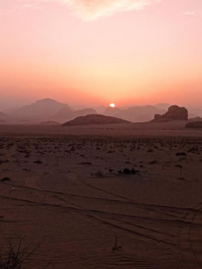 Full day camel tour